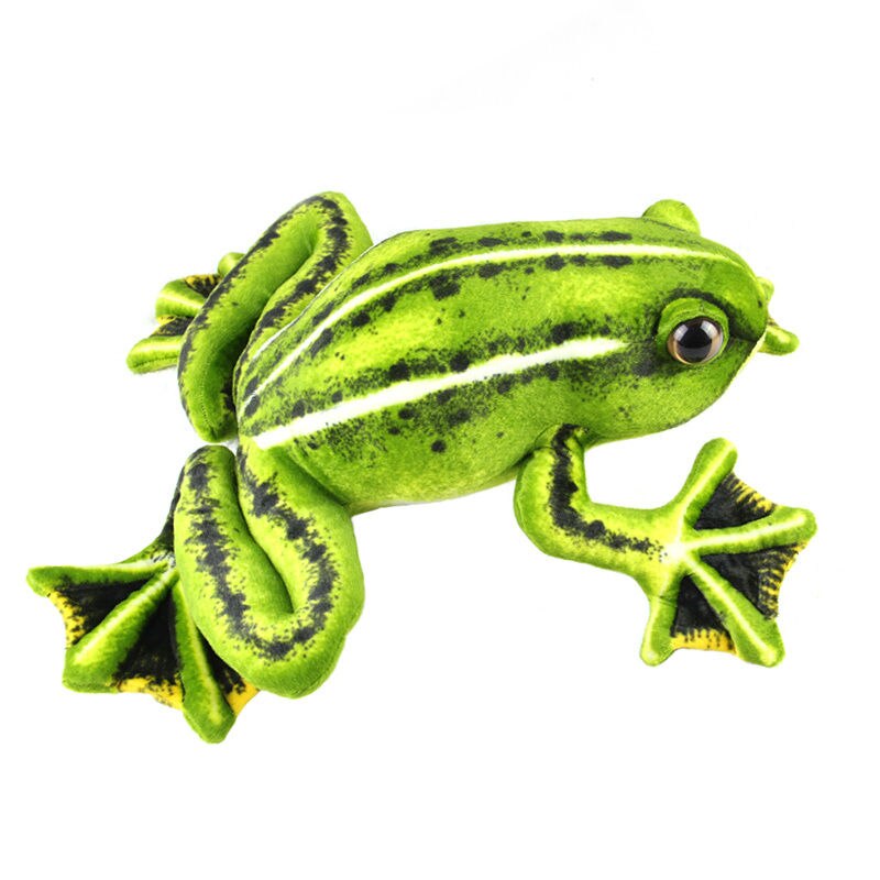 Realistic Big Frog Plush (30cm/12″)