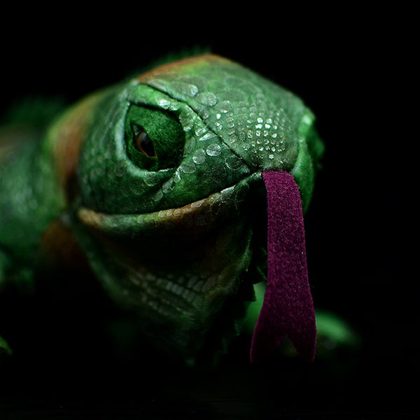 Green Iguana Lizard Real Life Plush 66cm(26in) stuffed lizard