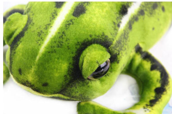 Realistic Big Frog Plush (30cm/12″)