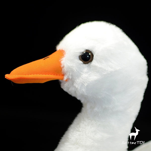 White duck plush 31cm(12.2in)