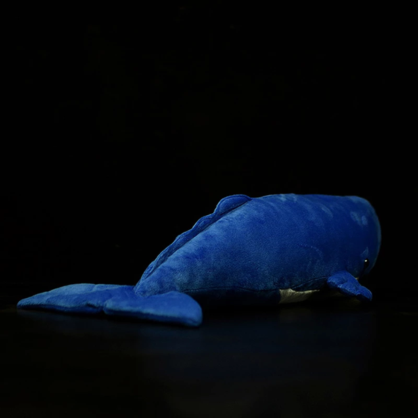 Sperm whale plush 53cm(21in)
