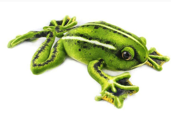 Realistischer Big Frog Plüsch (20 "& 10")