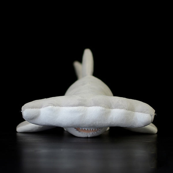Hammerhead shark plush 40cm(16in)