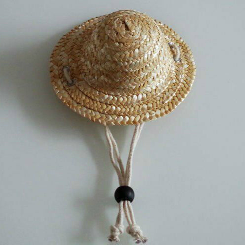 cat straw hat