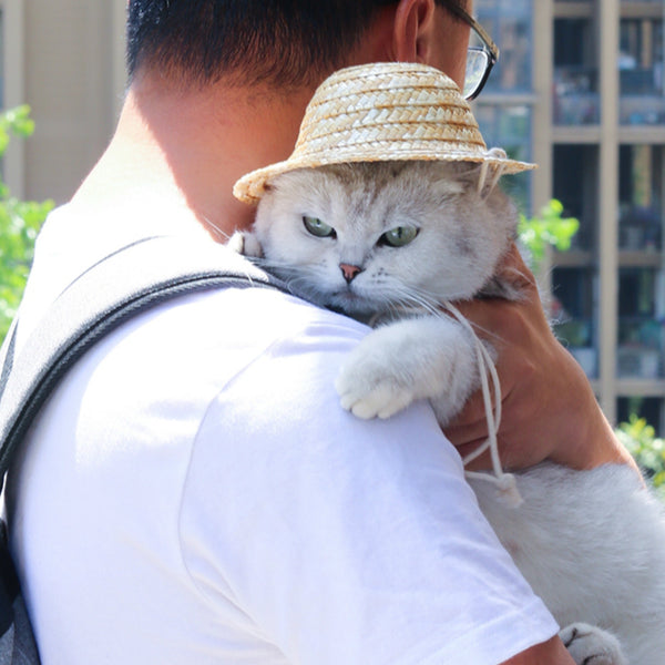 chapeau de paille de chat