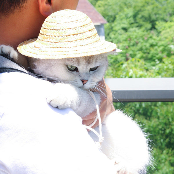 кошачья соломенная шапка
