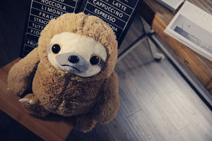 Плюшевый Sloth чучела животных 16 "(40см)