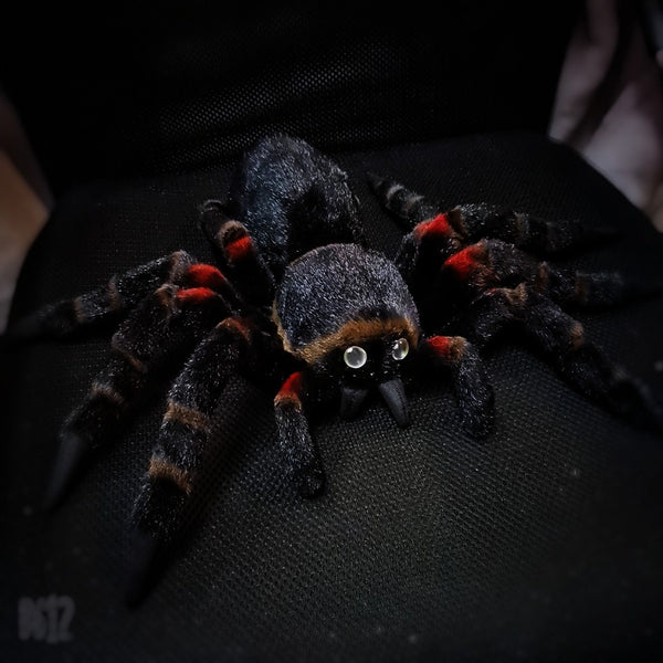 Mexican red knee tarantula plush | stuffed black spider | Brachypelma hamorii plush (Pre-order now, ship after Dec.20)
