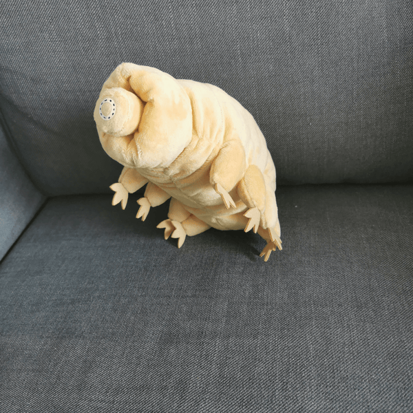 Water bear plush toy Tardigrade stuffed animal(24cm/9.5in)